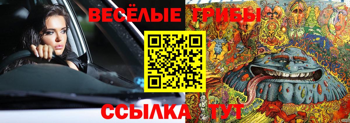 Северодвинск  Галлюциногенные грибы ЛСД  Вход с VPN 