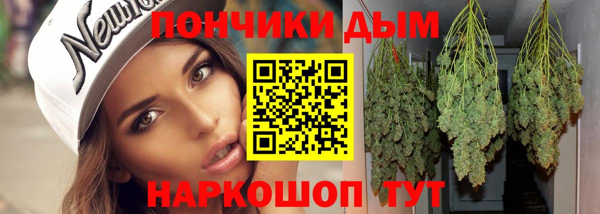 Каннабис сатива Северодвинск